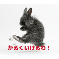 takemarustanp_20260415160153