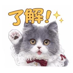 keisuke_20260415160739