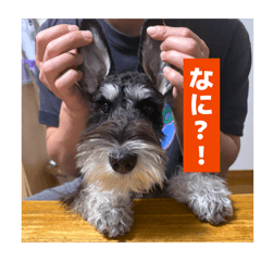 Kaede_20260415161445