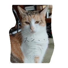 shogo_20260415165038