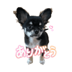 Rchan_20260415173601