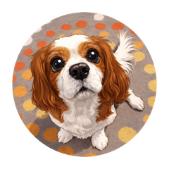 kyopy_20260415172552