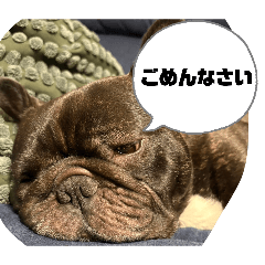 hoyaa_20260415193845