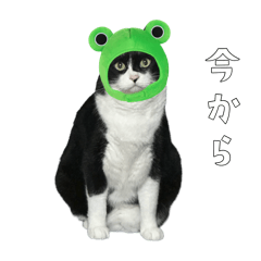 MoNa5_20260415193539