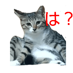 fumauma_20260415210231