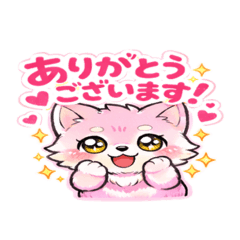 JUNPei_20260415211051