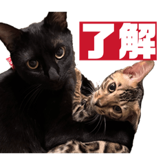 Goroukensetsu_20260415164337