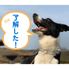 Purumichan_20260415164418