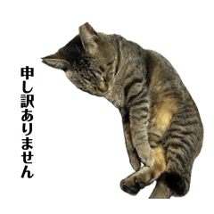 tougtta_20260415211412