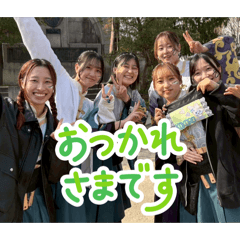 cotton_20260415205656