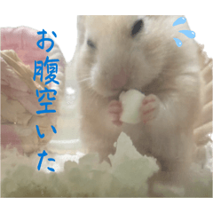 yayoi ohashi_20260415130833