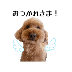 Takuma_20260415125115