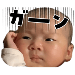 tototo_20260415174717