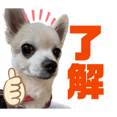 Asuka_20260415174744