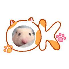 poemu_20260415174545