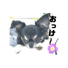 marenushi_20260415184559