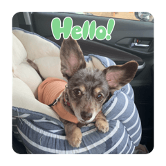 marina_20260415190351