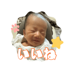 SumiJ19_20260415214537