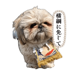 yokozuna_20260415182635