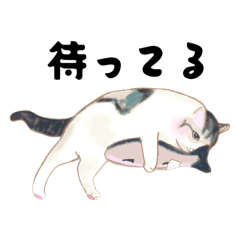 shiroku_20260415225708