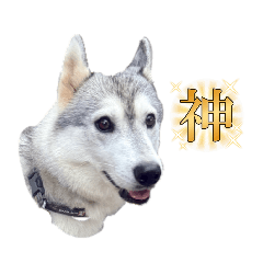 inushika_20260415225647