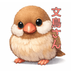 Java sparrow - cinnamon