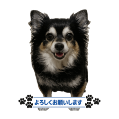 mimi_20260415002659