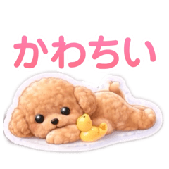 Shaboz_202604152044232