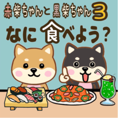 Red Shiba lnu and Black Shiba lnu 3