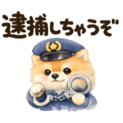 Pomeranian_rejinohito_20260415073401