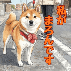 Shiba Inu Maron Daily Life Stickers