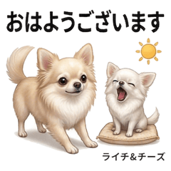 Raichi Cheese Mood Stickers Vol.1