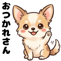 Kansai dialect Chihuahua