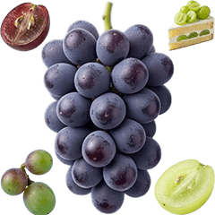 BIG! 葡萄和馬斯喀特真人表演