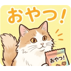 Rinsuke50_20260415164058