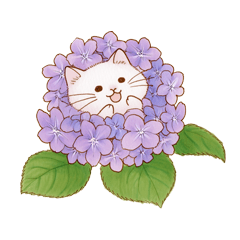 Hydrangeas and a cat.