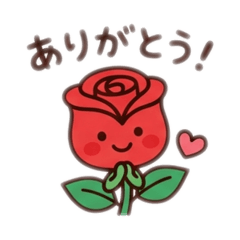 Everyday cute flowers