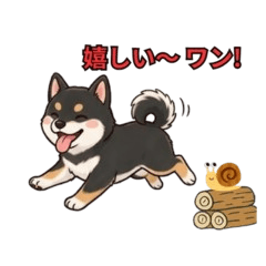 Cute black shiba Dog LINE Stickers