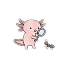 benja_20260415193315