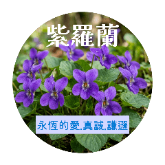 花與花語-第1版-私