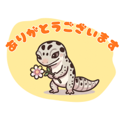 Mack Snow Gecko 4