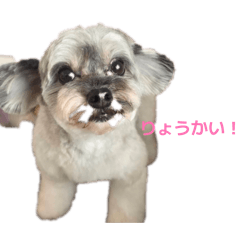 HATAN_20260415201358