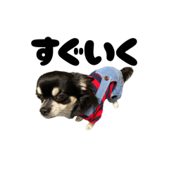 KAN FUKU TT_20260415201030