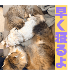 Takachyan_20260415212417