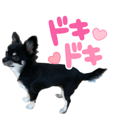 Rchan_20260415221854