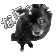 bluei_20260415221930