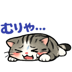 famitamatora_20260415222453