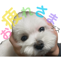 mimi0329_20260415222026