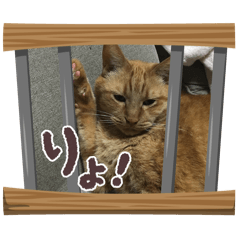 tonton_20260415223059