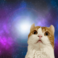 The daily life of myolder sister and boy